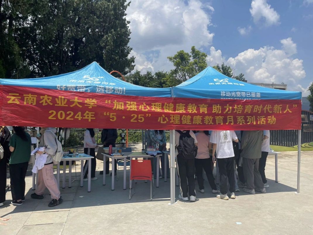 学校心理健康教育教师团队赴弥勒市第二中学开展"县中帮扶"心理咨询